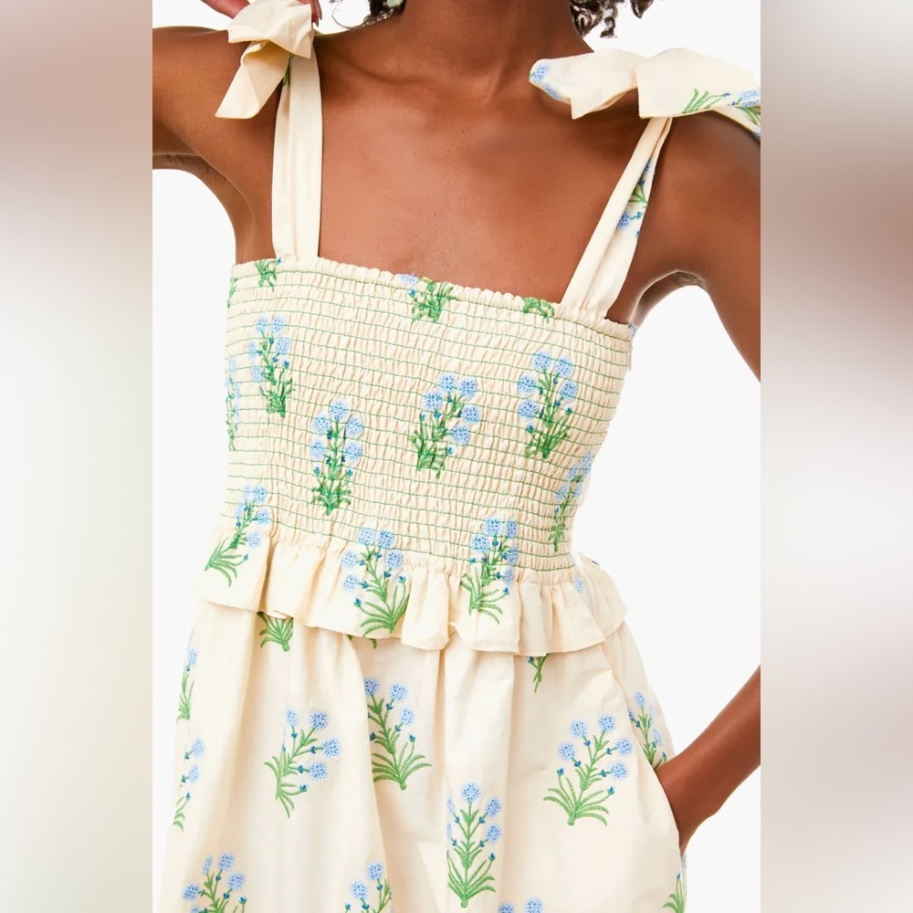 Wildflower Embroidered Alessandra Dress small Excellent condition
TUCKERNUCK - Picture 8 of 13